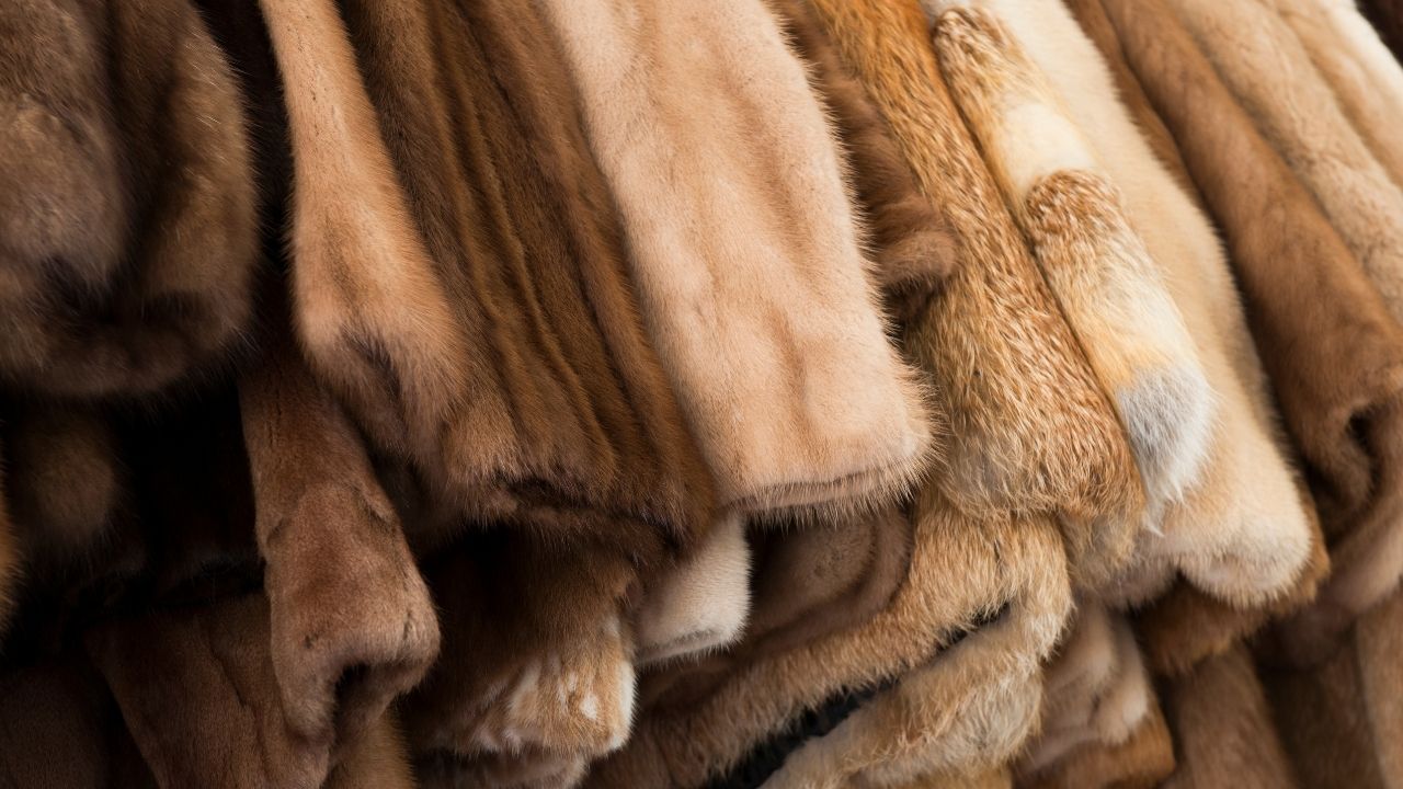  Завод знаходиться в Стамбулі 